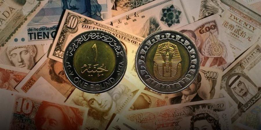 أسعار العملات العربية والأجنبية أمام الجنيه المصري في البنك المركزي بتعاملات نهاية الأسبوع - المدينة برس