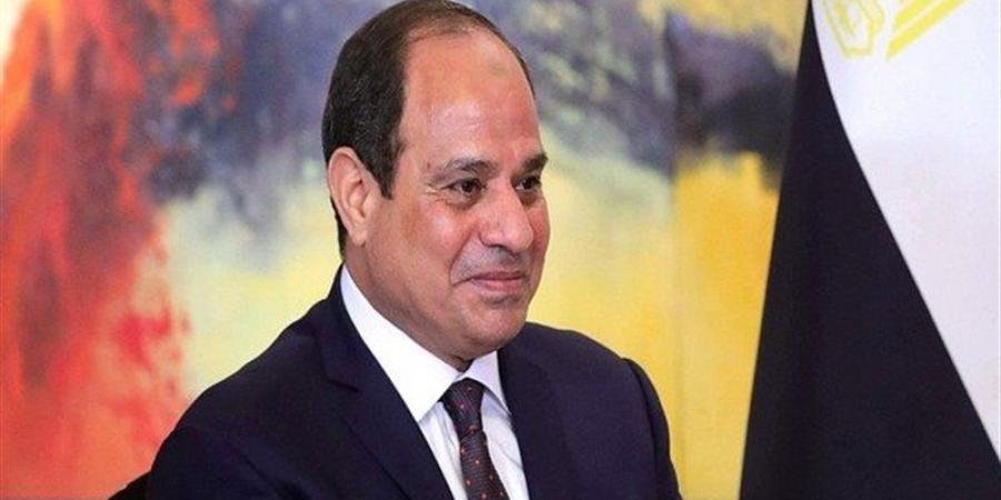 أزمات الشرق الأوسط وروسيا وأوكرانيا تتصدران مباحثات الرئيسين السيسي وزيلينسكي - المدينة برس