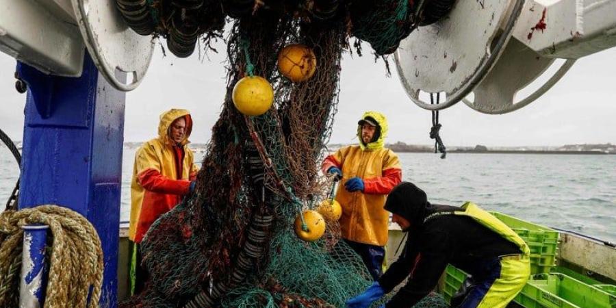 بروكسل تعترف بتجاهل المغرب رغبة الأوروبيين في تجديد اتفاقية الصيد - بوابة المدينة برس