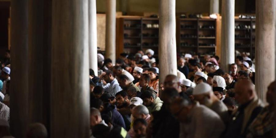 من السنة النبوية، الإفتاء تحذر من التخلف عن صلاة الجمعة لمن وجبت عليه - المدينة برس