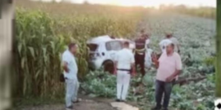 مصرع شاب وإصابة آخرين في حادث تصادم بمدخل أجا بالدقهلية - المدينة برس