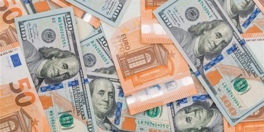 حملات على الأسواق، ضبط 13 طن دقيق وقضايا اتجار غير مشروع في العملات بـ6 ملايين جنيه - المدينة برس
