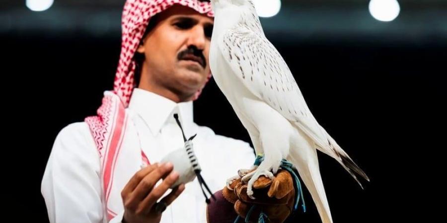 صقر كندي يخطف الأضواء في مزاد سعودي بـ1.3 مليون ريال - بوابة المدينة برس