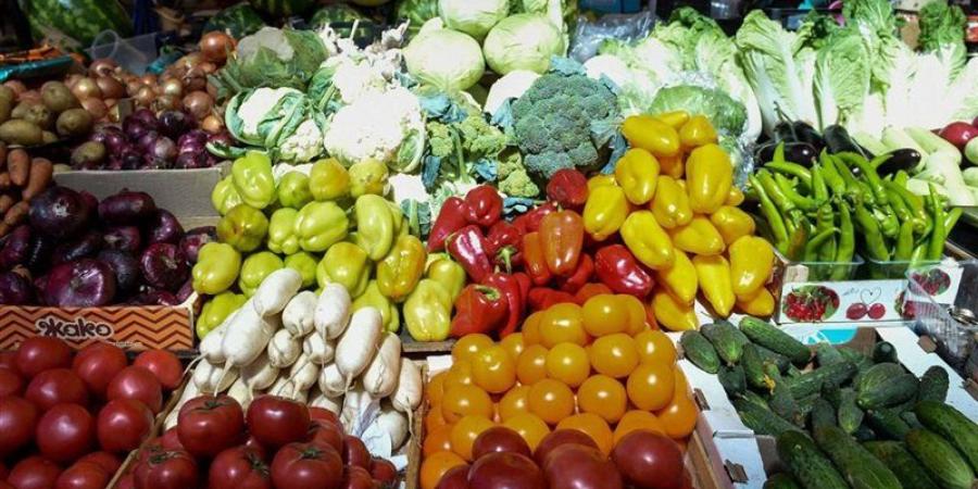 سعر الخضار اليوم، ارتفاع 8 أصناف منهم الطماطم والليمون والبصل - المدينة برس