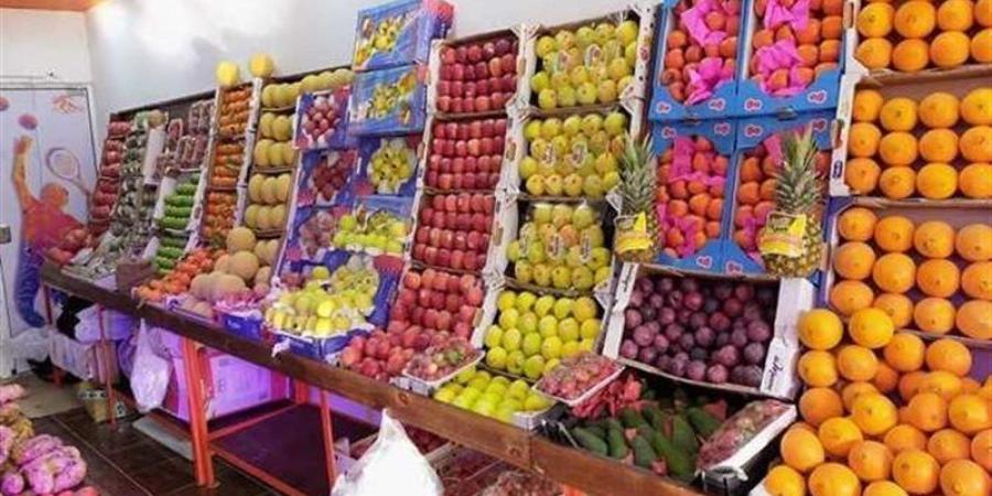 ارتفاع العنب بناتي والبلح برحي، أسعار الفاكهة اليوم الإثنين 17 أغسطس 2026 - المدينة برس