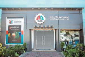 "الكابلات الكهربائية" تحد خسائرها ببيع أرض.. والرقابة المالية تحذر من تحول أرباح التشغيل لخسائر